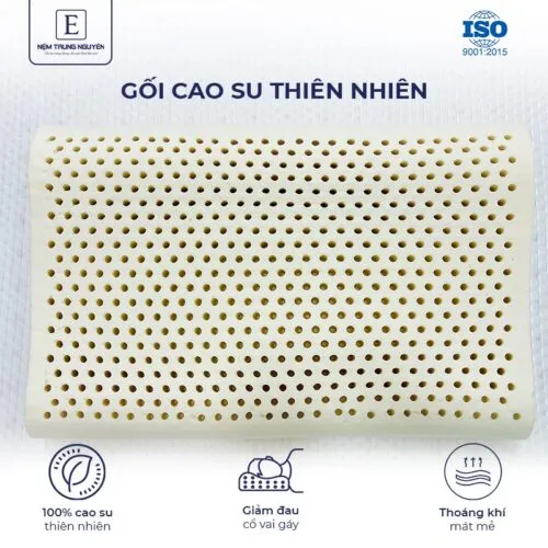 Sản phẩm goi cao su thien nhien trung nguyen 500x500 — Nệm Trung Nguyên - Công Ty TNHH Nệm Trung Nguyên — MST 0318468382
