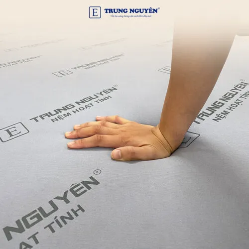 Sản phẩm nem cao su non hoat tinh 8 500x500 — Nệm Trung Nguyên - Công Ty TNHH Nệm Trung Nguyên — MST 0318468382