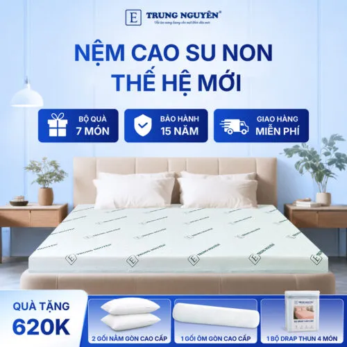 Sản phẩm nem cao su non trung nguyen 1.1 500x500 — Nệm Trung Nguyên - Công Ty TNHH Nệm Trung Nguyên — MST 0318468382