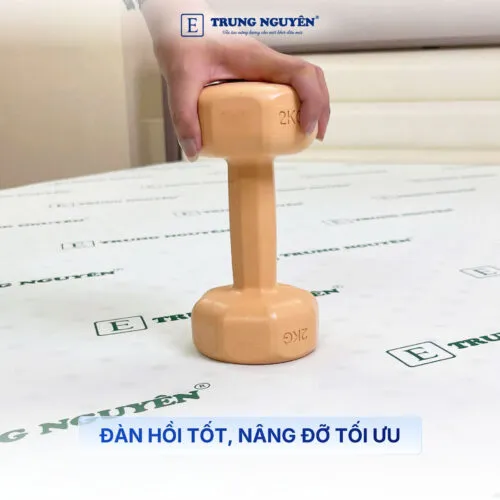 Sản phẩm nem cao su non trung nguyen 1.2 500x500 — Nệm Trung Nguyên - Công Ty TNHH Nệm Trung Nguyên — MST 0318468382