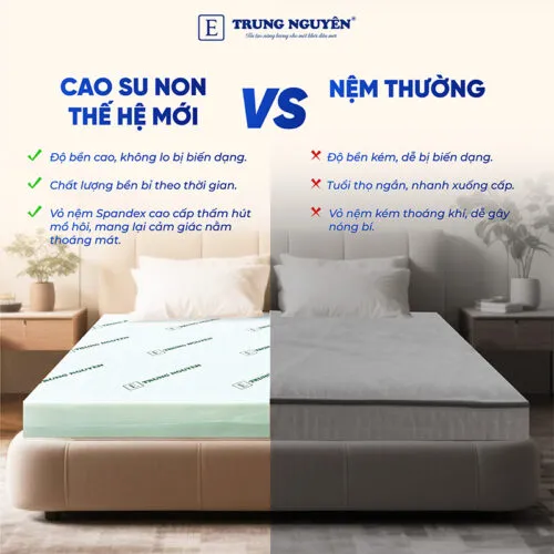 Sản phẩm nem cao su non trung nguyen gap 2 03 500x500 — Nệm Trung Nguyên - Công Ty TNHH Nệm Trung Nguyên — MST 0318468382