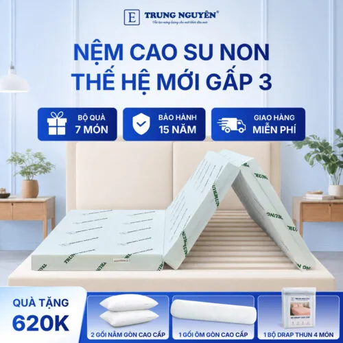 Sản phẩm nem cao su non trung nguyen gap 3 1.1 500x500 — Nệm Trung Nguyên - Công Ty TNHH Nệm Trung Nguyên — MST 0318468382