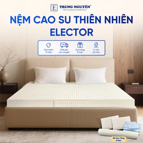 Sản phẩm nem cao su thien nhien trung nguyen classic 1 500x500 — Nệm Trung Nguyên - Công Ty TNHH Nệm Trung Nguyên — MST 0318468382