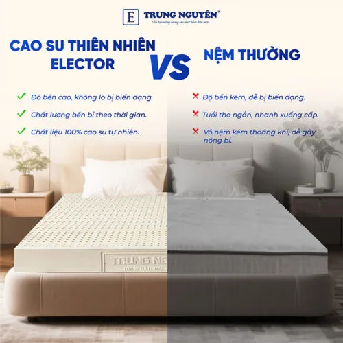 Sản phẩm nem cao su thien nhien trung nguyen classic 3 500x500 — Nệm Trung Nguyên - Công Ty TNHH Nệm Trung Nguyên — MST 0318468382