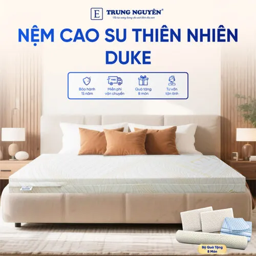 Sản phẩm nem cao su thien nhien trung nguyen gold 1 500x500 — Nệm Trung Nguyên - Công Ty TNHH Nệm Trung Nguyên — MST 0318468382