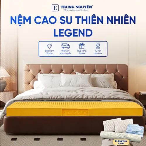 Sản phẩm nem cao su thien nhien trung nguyen legend 1 500x500 — Nệm Trung Nguyên - Công Ty TNHH Nệm Trung Nguyên — MST 0318468382