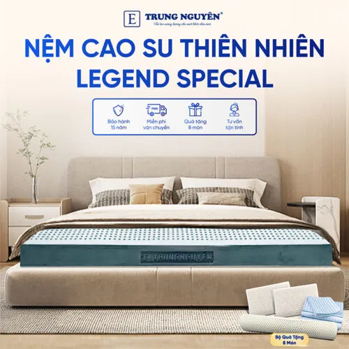 Sản phẩm nem cao su thien nhien trung nguyen legend special 1 500x500 — Nệm Trung Nguyên - Công Ty TNHH Nệm Trung Nguyên — MST 0318468382