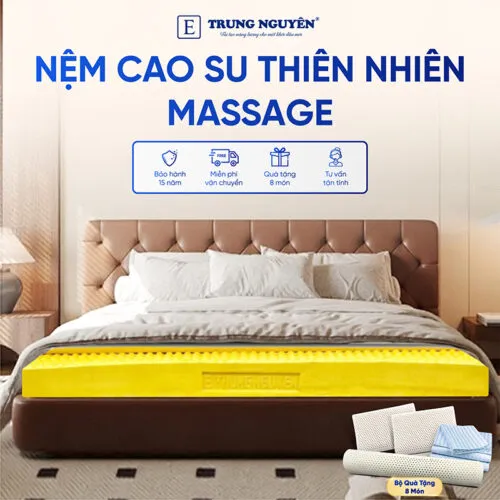 Sản phẩm nem cao su thien nhien trung nguyen massage 1 500x500 — Nệm Trung Nguyên - Công Ty TNHH Nệm Trung Nguyên — MST 0318468382