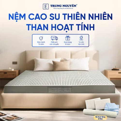 Sản phẩm nem cao su thien nhien trung nguyen than hoat tinh 1 500x500 — Nệm Trung Nguyên - Công Ty TNHH Nệm Trung Nguyên — MST 0318468382