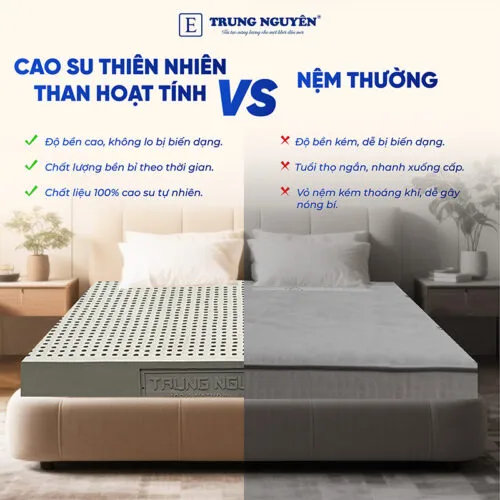 Sản phẩm nem cao su thien nhien trung nguyen than hoat tinh 7 500x500 — Nệm Trung Nguyên - Công Ty TNHH Nệm Trung Nguyên — MST 0318468382