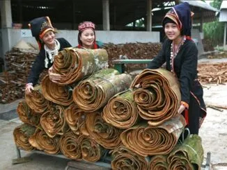 Sản phẩm Que VN2 326x245 — Công ty TNHH Xuất Nhập Khẩu Tổng Hợp Cao Nguyên — MST 0318506567