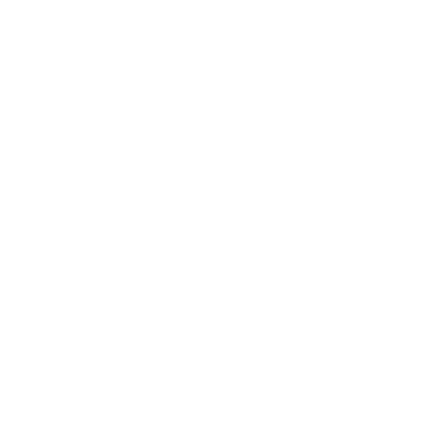Sản phẩm phone icon white new 400x400 — Toàn Nhất Logistics - Công Ty CP Toàn Nhất Logistics — MST 0318517671