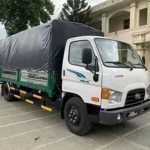 Sản phẩm xe tai hyundai 110xl 7 tan thung mui bat 1 300x300 — Công Ty TNHH Auto CP Việt Nam — MST 0318536152