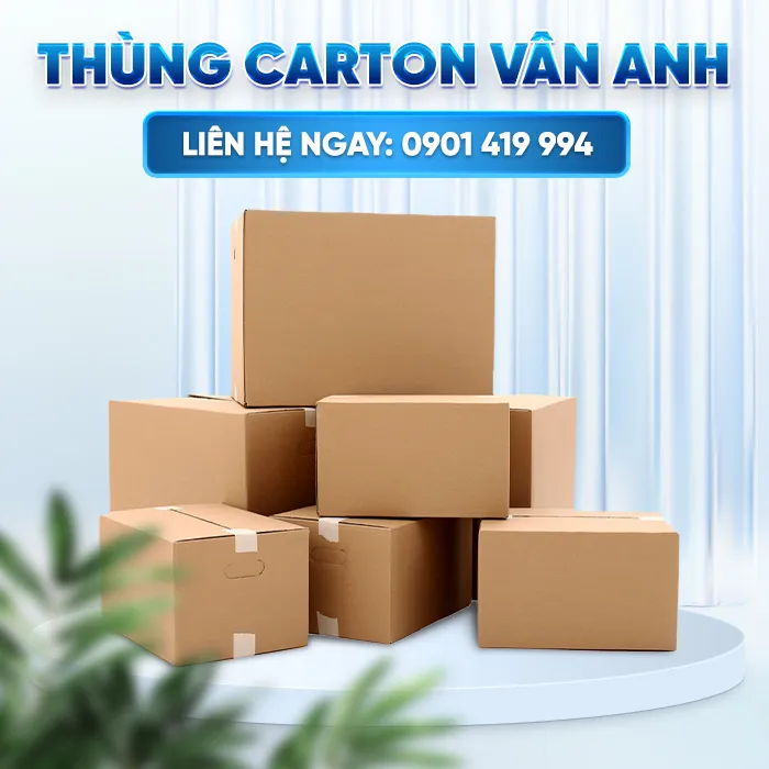 Sản phẩm intro — Bao Bì Carton Vân Anh - Công Ty TNHH Sản Xuất Thương Mại Phát Triển Vân Anh — MST 0318672444