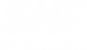 Logo Công Ty TNHH SNF Việt Nam