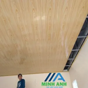 Sản phẩm z5555688375132_d87cc8a5a4e850a3f66dce7e9b41637e 300x300 — Công Ty TNHH MTV Cách Nhiệt Minh Anh — MST 0318732703