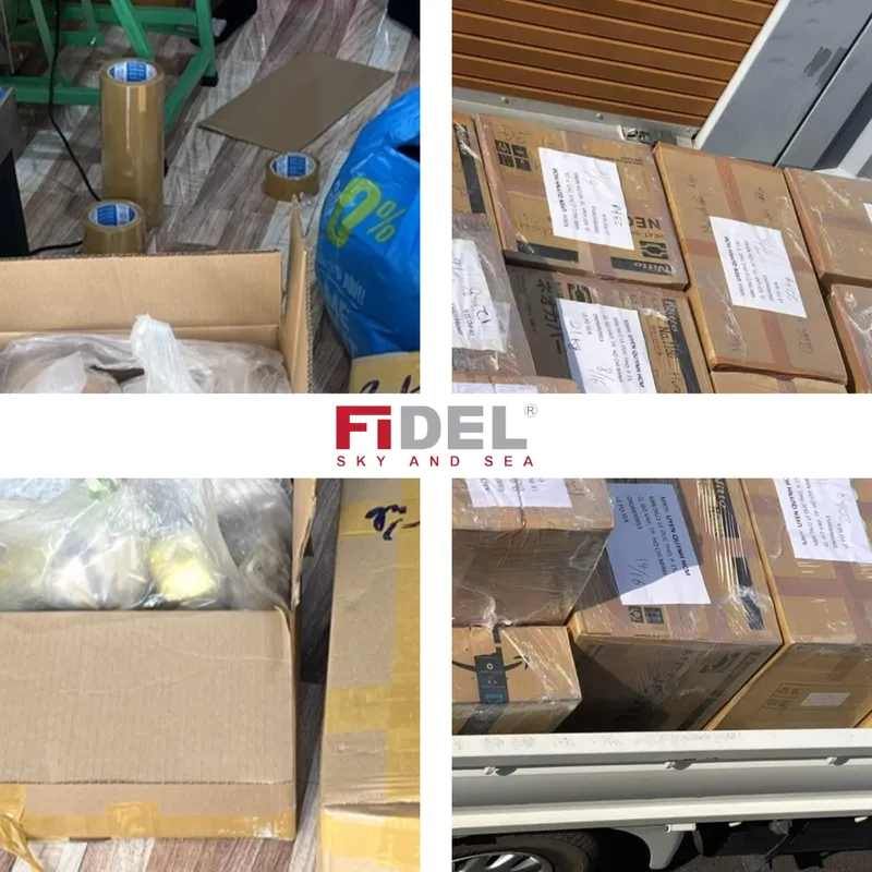 Sản phẩm fidel 2 — Công Ty TNHH Fidel Logistics Việt Nam — MST 0318847694