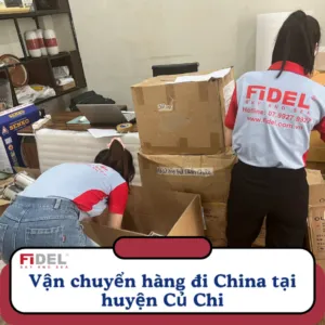 Sản phẩm anh bia 2 300x300 — Công Ty TNHH Fidel Logistics Việt Nam — MST 0318847694