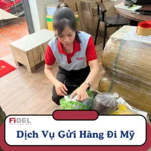 Sản phẩm anh bia 4 300x300 — Công Ty TNHH Fidel Logistics Việt Nam — MST 0318847694