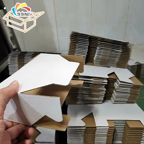 Sản phẩm há»™p tráº¯ng 3E — Bao Bì Tín Tín Phát - Công Ty TNHH SX Bao Bì Tín Tín Phát — MST 0318856378