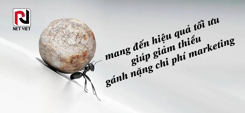 Sản phẩm 24052023_web netvietad 2023 04 scaled — In Menu Nét Việt Plus - Công Ty TNHH Thiết Kế & In ấn Nét Việt Plus — MST 0318874507