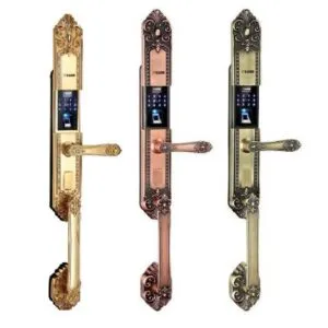 Sản phẩm khoa dai sanh KAIMI DS101 300x300 — Khóa Cửa Thông Minh M TechNo - Công Ty TNHH M TechNo — MST 0318878886