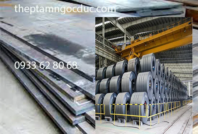 Sản phẩm thep hoa phat — Công Ty TNHH TMDV Ngọc Đức Phát — MST 0318895835