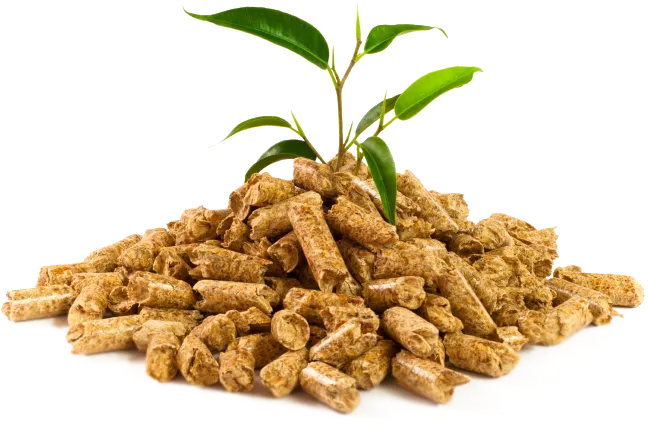 Sản phẩm pellet — Công Ty TNHH Phương Thảo Lam — MST 0318932646