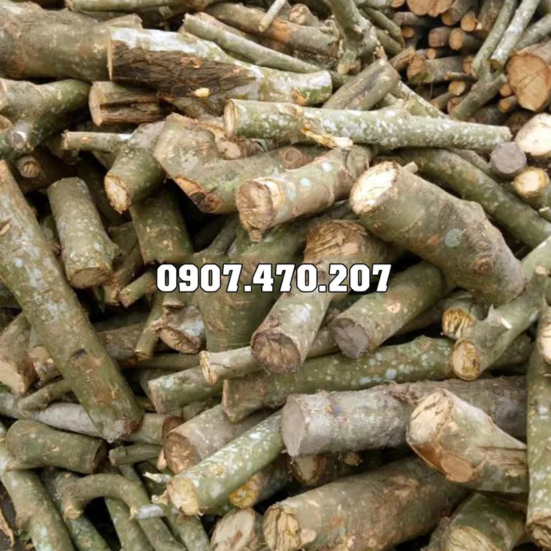 Sản phẩm Cui cao su 1 — Công Ty TNHH Phương Thảo Lam — MST 0318932646