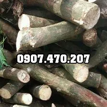 Sản phẩm Cui cao su 2 — Công Ty TNHH Phương Thảo Lam — MST 0318932646