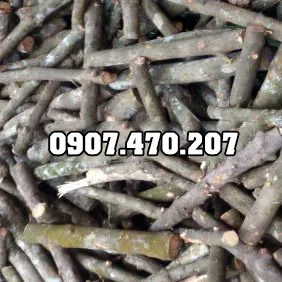 Sản phẩm Cui cao su 3 — Công Ty TNHH Phương Thảo Lam — MST 0318932646