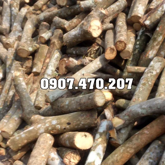Sản phẩm Cui cao su 4 — Công Ty TNHH Phương Thảo Lam — MST 0318932646