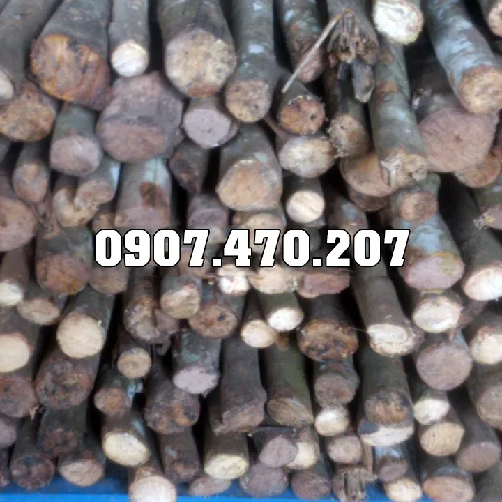 Sản phẩm Cui cao su 6 — Công Ty TNHH Phương Thảo Lam — MST 0318932646