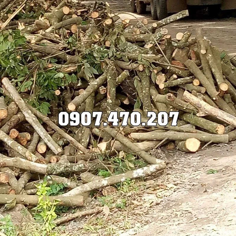 Sản phẩm Cui cao su 7 — Công Ty TNHH Phương Thảo Lam — MST 0318932646