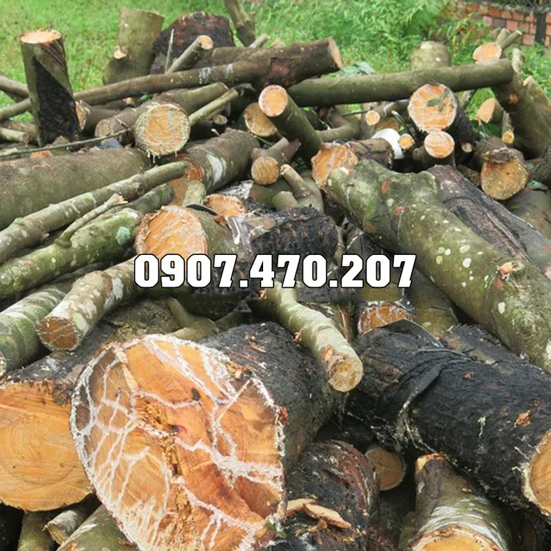 Sản phẩm Cui cao su dau trau — Công Ty TNHH Phương Thảo Lam — MST 0318932646