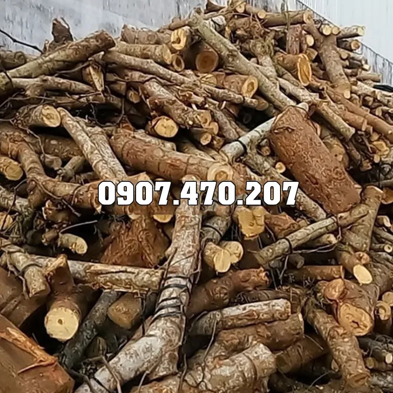Sản phẩm Cui cao su dot lo hoi — Công Ty TNHH Phương Thảo Lam — MST 0318932646