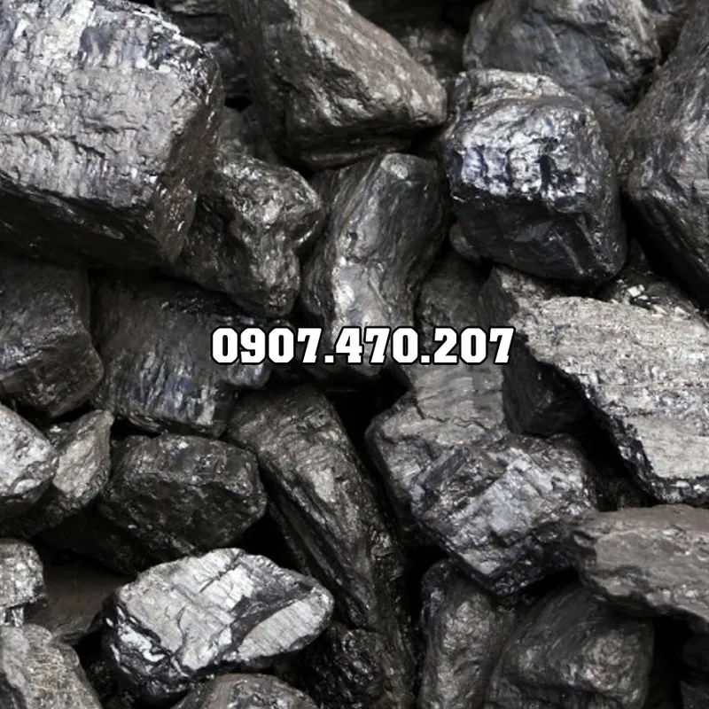 Sản phẩm Than da cuc 1 — Công Ty TNHH Phương Thảo Lam — MST 0318932646