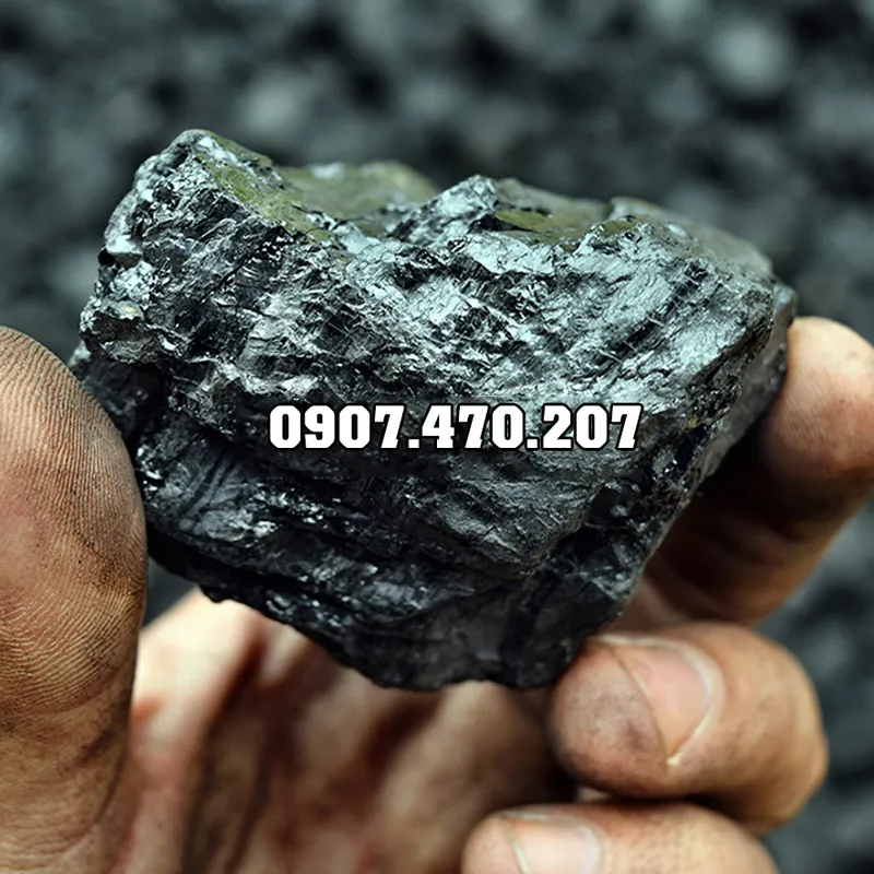 Sản phẩm Than da cuc 2 — Công Ty TNHH Phương Thảo Lam — MST 0318932646