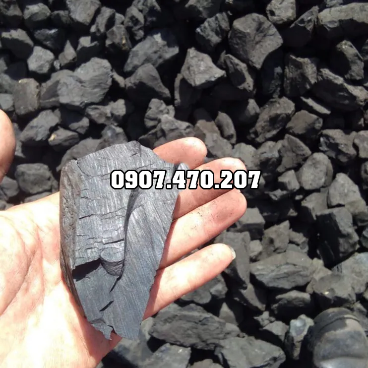 Sản phẩm Than da cuc 3 — Công Ty TNHH Phương Thảo Lam — MST 0318932646