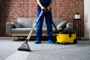 Sản phẩm 127home huong dan ve sinh tham 300x200 — Công Ty TNHH Thương Mại Dịch Vụ 127HOME — MST 0318938359