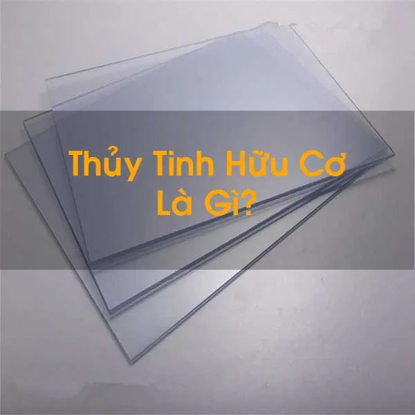 Sản phẩm thuy tinh huu co 3 — Công Ty TNHH Thương Mại Và Dịch Vụ MDGROUP — MST 0354804650