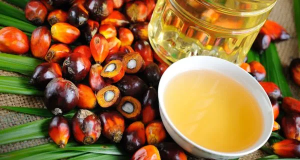 Sản phẩm palm oil — Doanh Nghiệp Tư Nhân Thương Mại Quốc Linh — MST 0400373736