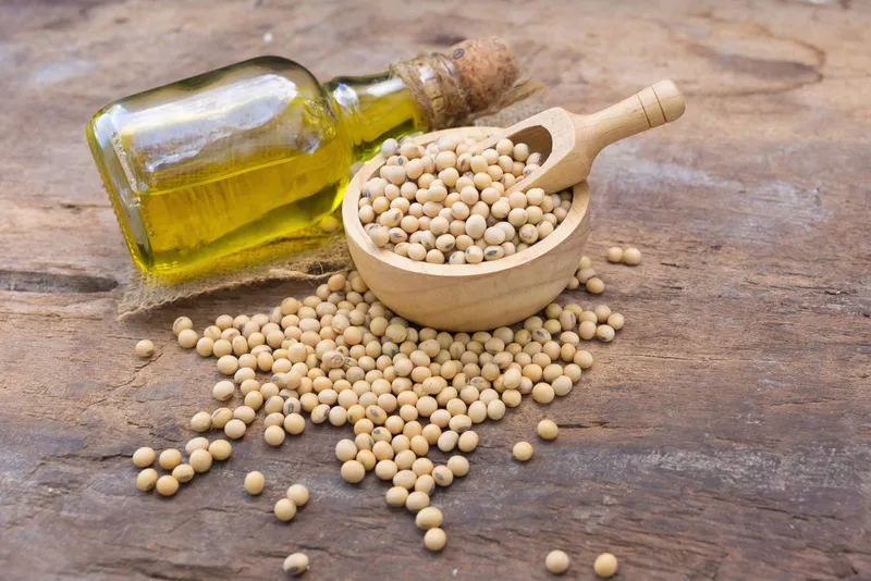 Sản phẩm soybean oil — Doanh Nghiệp Tư Nhân Thương Mại Quốc Linh — MST 0400373736