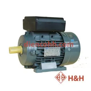 Sản phẩm dong co dien teco 1pha 2 300x300 — Công Ty TNHH H&H — MST 0400456083