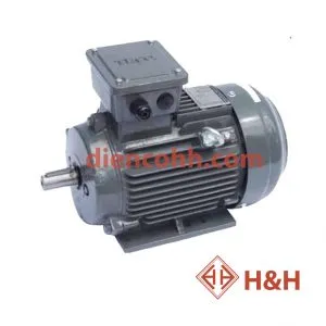 Sản phẩm dong co dien teco 3pha 1 300x300 — Công Ty TNHH H&H — MST 0400456083
