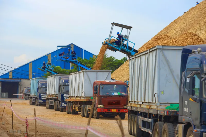 Sản phẩm 52457668286_beb6a6ed85_o 1 scaled — Công Ty Cổ Phần LEC COMMODITIES — MST 0400481361