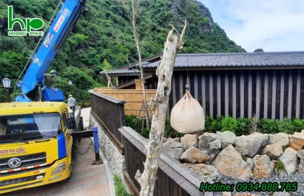 Sản phẩm thi cong canh quan 1 619x400 — Công Ty TNHH Dịch Vụ & Thương Mại Hoàng Phúc — MST 0400523935