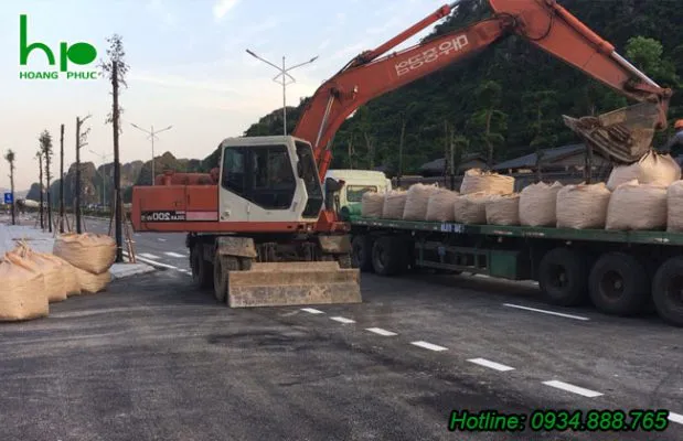 Sản phẩm thi cong cay xanh duong nhua 619x400 — Công Ty TNHH Dịch Vụ & Thương Mại Hoàng Phúc — MST 0400523935