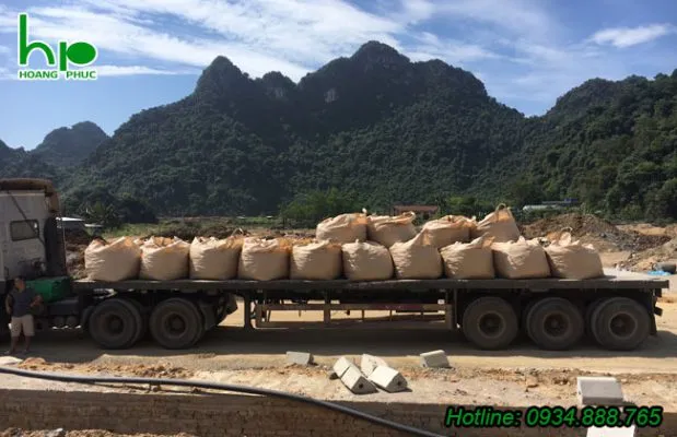Sản phẩm thi cong cay xanh duong pho 619x400 — Công Ty TNHH Dịch Vụ & Thương Mại Hoàng Phúc — MST 0400523935
