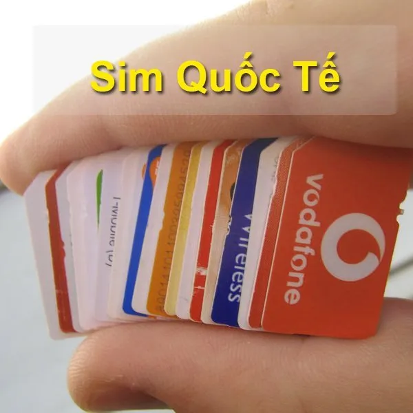 Sản phẩm hinh anh sim quoc te — Công Ty TNHH M.S.Y — MST 0400553464